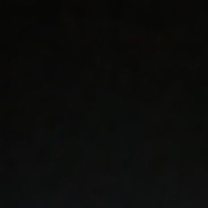 Meet your Posher, Lulu